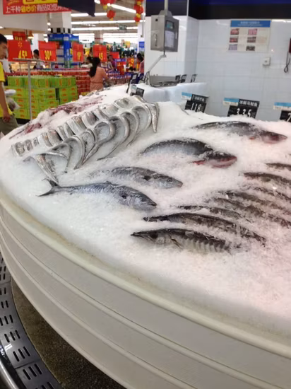 Máquina para fabricar hielo en escamas de agua de mar de mejor calidad Lier para procesamiento de mariscos (5T/DÍA)