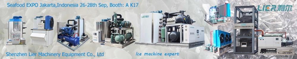 Ice Harvesting Thermal Storage Systems for Eco Building Solution Industrial Ice Making Machine
