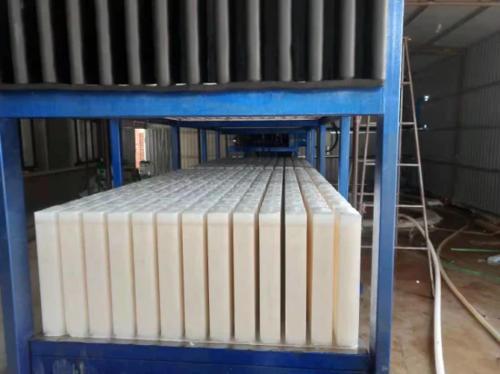 Máquina fabricadora de hielo en bloques en contenedores Thermojinn de 5 toneladas/día a la venta