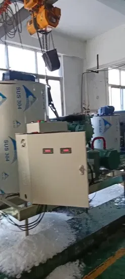 Máquina para fabricar hielo en escamas de agua de mar de mejor calidad Lier para procesamiento de mariscos (5T/DÍA)