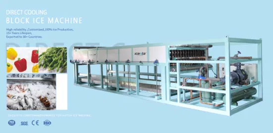 Precio de la máquina para fabricar bloques de hielo comercial industrial de 20 toneladas con trituradora